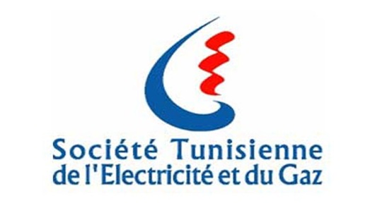 STEG logo
